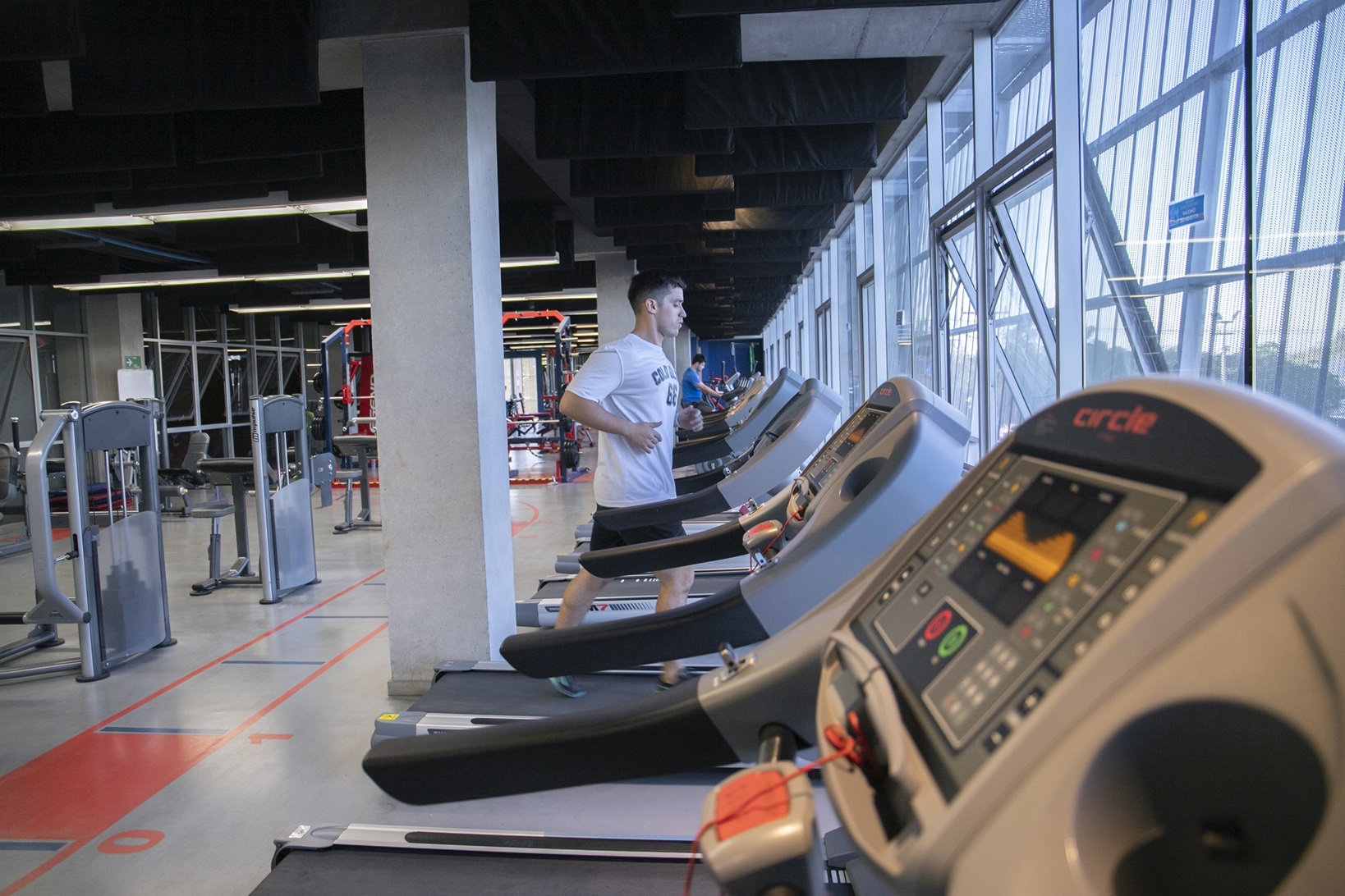 gimnasio