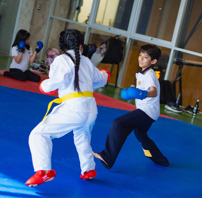 Karate Infantil