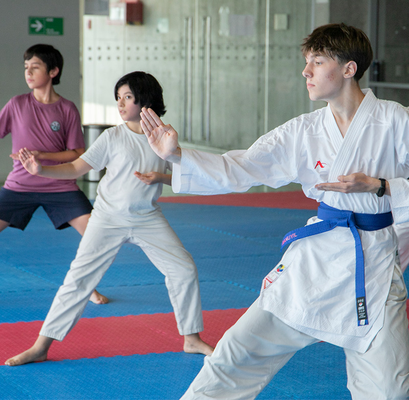 Karate Juvenil