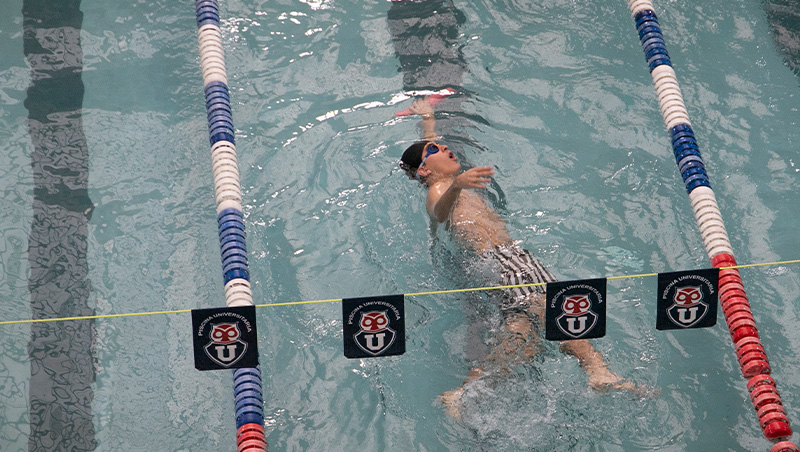 Escuelas Natación Adultos