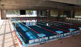 Natación JGM