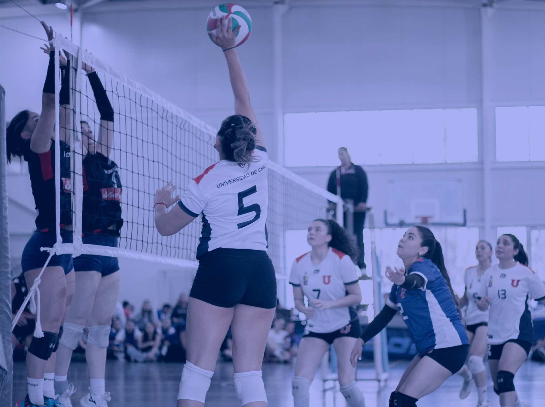 Selección de Vóleibol Mujeres